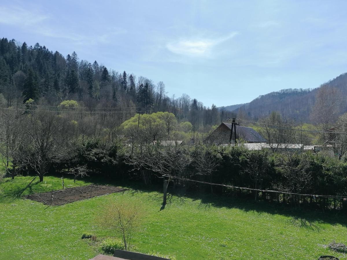 Agroturystyka Pod Kasztanem Lutowiska Exterior foto