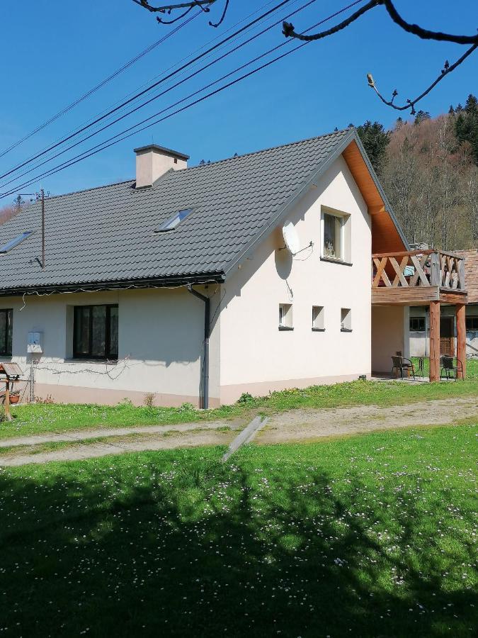 Agroturystyka Pod Kasztanem Lutowiska Exterior foto